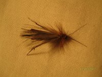 IMG_7103.jpg