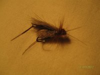 IMG_7102.jpg