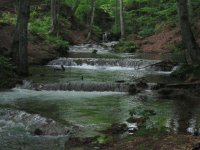 IMG_2549.jpg