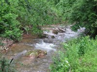 IMG_2527.jpg