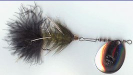 spinner fly.jpg
