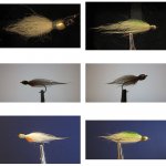 Contact Sheet.jpg