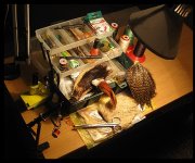 IMG_4856.jpg