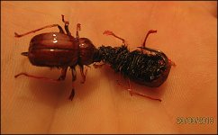 IMG_9121.jpg