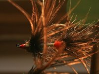 IMG_9034web2.jpg