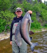 Giant-Grayling.jpg