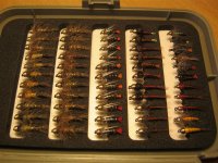 IMG_0375 (Medium).JPG