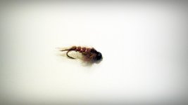 02042013202.JPG