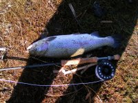 PICT0376.JPG