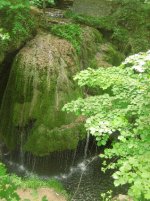 cascada bigar.JPG
