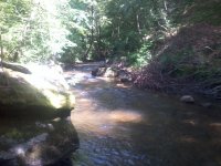 2013-06-02 14.26.52.jpg