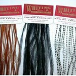 whiting_100.jpg