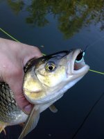 IMG_20130609_183421.jpg