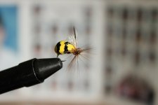 IMG_6238.JPG
