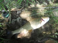 DSCN5405.JPG