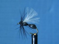 UV Foam Black Ant TMC 100 #18.jpg