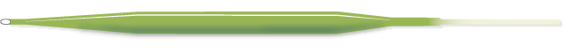 ExperienceWEBprofile.png