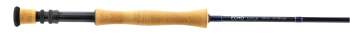 EDGE-C.png