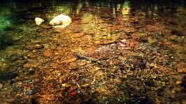 24092013261a.jpg