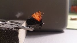 DSC_0713.jpg