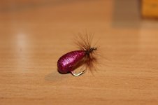 IMG_8467.JPG