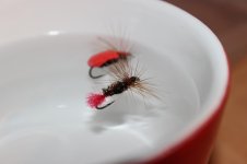 IMG_8491.JPG