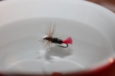 IMG_8489.JPG