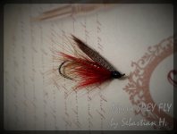ALPINEFLY.jpg