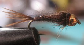 IMG_6349_small.jpg