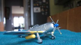 IMG_4740800.jpg