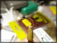 TbuzzBug.jpg