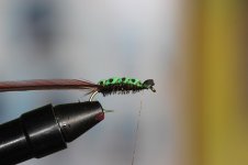 IMG_0320.JPG