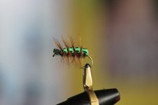 IMG_0323.JPG