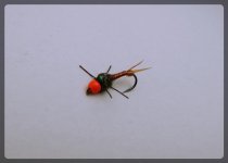 CJNymph.jpg