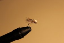 IMG_5860.JPG
