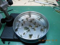 DSCN2058.JPG