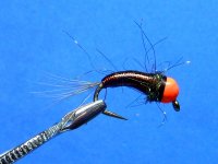 RSCN2090.JPG