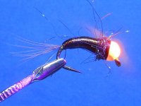RSCN2092.JPG