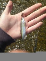 uploadfromtaptalk1404563132794.jpg