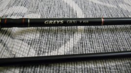 Greys 2.JPG