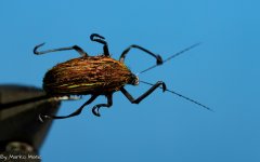 IMG_7289.JPG