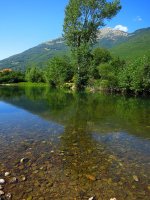 IMG_1073.jpg