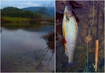 plav danas.JPG