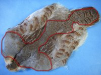 Hungarian Partridge Skin - Natural-1.JPG