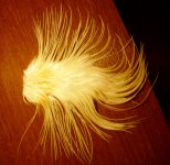 IMG_0758.JPG
