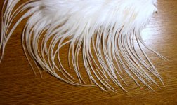 IMG_0759.JPG