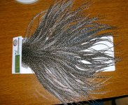 IMG_0769.JPG