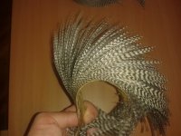 20141214_131557.jpg