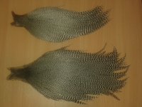 20141214_131514.jpg