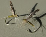 IMG_1443.jpg